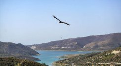 La contaminación plástica se apodera de ríos, lagos y playas