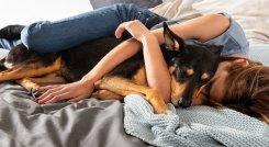 ¡Ojo al amor excesivo  por su mascota!