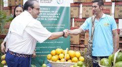El campo de Norte de Santander se beneficia de II fase de Alianzas Productivas./Foto: cortesía