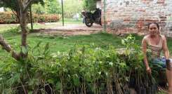 Más bosques./Foto: cortesía