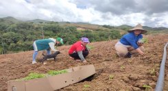 A través de alianzas productivas se promueven programas agropecuarios en zona rural de Ocaña.