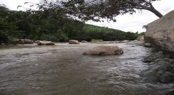 Se promueve campaña ambiental para cuidar las fuentes hídricas de la provincia de Ocaña y del Catatumbo.