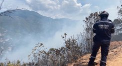 Se perdieron unas 50 hectáreas de capa vegetal. /Foto: Cortesía / La Opinión