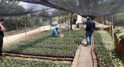 En el vivero El Edén del corregimiento de Buenavista de Ocaña germina el proyecto para la conservación de la biodiversidad del Catatumbo.