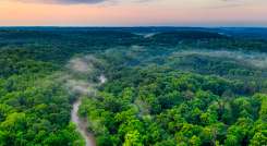 El Amazonas es la mayor selva tropical del mundo.