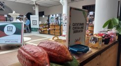 En Ocaña se lleva a cabo el Segundo Congreso Internacional para promocionar el cacao como cultivo de la paz. / Foto:Javier Sarabia
