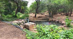 Las aguas termales eran visitadas hasta por estadounidenses./ Fotos: Anggy Polanco/ La Opinión 