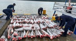 Pesca ilegal. / Foto: AFP