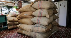 Venta de café