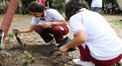 El Gobierno Municipal trabaja en actividades de educación y control ambiental para lograr una conciencia colectiva y una ciudad más sostenible./ Foto: Cortesía