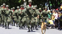 Los mejores momentos del desfile 