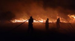 Incendio cerro Tasajero