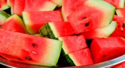 sandia