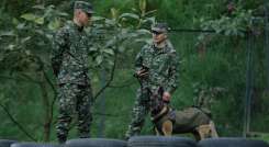 Ejército Nacional. 