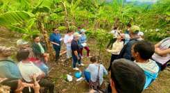 Campesinos de la región del Catatumbo impulsando la siembra del cacao/Foto Cortesía/La Opinión