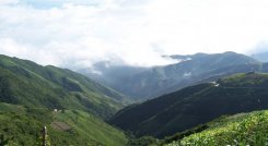 En Norte de Santander se concentra el 18% del total de los cultivos ilícitos en Colombia.