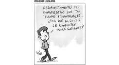Vergüenza legislativa