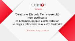 Deforestación y conflicto
