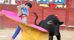 Las corridas de toros según la ley que aprobó el Gobierno nacional dejarán de existir.