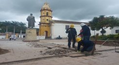 Con la UTA se adelantan jornadas podas para mitigar riesgos. / Foto: Javier Sarabia / La Opinión  