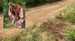 Con un machete agredieron a un hombre en zona rural de San Cayetano