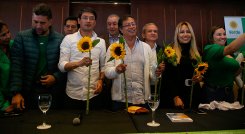 partido verde