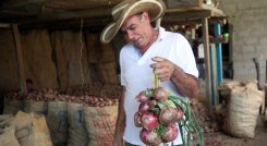 CULTIVOS EN EL TARRITA