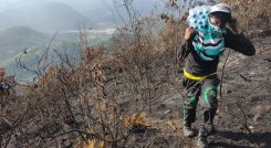 Más de 30 hectáreas se consumieron en el incendio. 