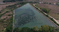 Corponor coordina con el Gobierno seccional el mantenimiento de la laguna de oxidación en el municipio de Ábrego./ Foto: Cortesía