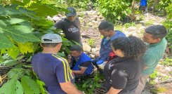 Difícil se torna la situación vivida en la zona del Catatumbo ante la arremetida de la guerrilla./ Foto cortesía: La Opinión.