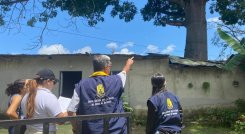 Una comisión de la secretaría de Medio Ambiente adelanta una inspección ocular a los árboles de Ocaña. / Foto cortesía: La Opinión.