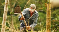 Las cifras demuestran que la adjudicación y formalización de tierras está lejos de cumplirse en los 4 años que restan para su implementación. /Foto archivo