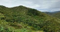 En Ocaña se adelanta un diagnóstico para determinar el estado de las reservas forestales para la conservación de los recursos naturales.