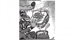 Bocados colombianos