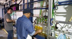 Trabajadores de Cúcuta. / Foto La Opinión