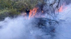 Autoridades ambientales advierten sobre las consecuencias de los incendios forestales. / Foto: Cortesía