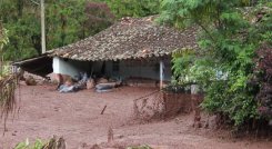 Damnificados de la vereda El Tarrita reclaman celeridad en los procesos.
