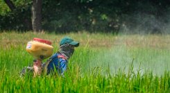 Productores del campo. / Foto Archivo