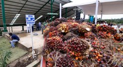 Exportaciones de Colombia y Norte de Santander a Venezuela. / Foto: La Opinión
