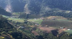 La profunda crisis presupuestal del Estado repercute en la ejecución de proyectos de inversión social en la zona del Catatumbo.