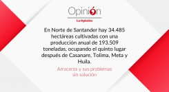 Arroceros y sus problemas sin solución