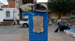 Calle-Calzado