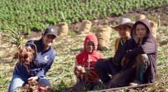 La ocañera Janice Guerrero Arévalo fue seleccionada como mujer influyente 2025.