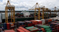 Exportaciones cayeron en el mes de julio de 2025, comparado con el mismo periodo en 2024