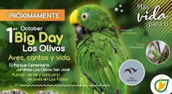 Parque Cementerio Jardines Los Olivos San José: pulmón verde y santuario de aves en Los Patios