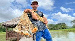 Una apuesta a los procesos productivos para lograr el desarrollo económico en el sector agropecuario.
