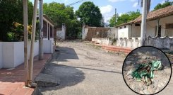 Cobija La Parada