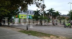 MUERTO PARQUE LINEAL