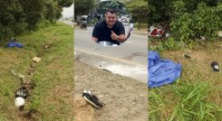 Triple Muerte Accidente Los Vados