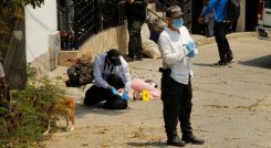 Asesinato Mujer Los Alpes